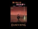 【ELDENRING】葦の地の侍　巨石を穿つ