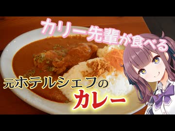私が何度も通うカフェのバターチキンカレー【シンプル車載動画投稿祭】