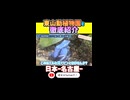 ジョジョに出てるカエルじゃん