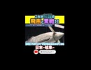 飛燕と零戦かっこよすぎだろ・・・