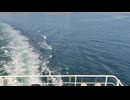 アメリカの駆逐艦〔クレムソン級駆逐艦〕の駆逐艦フォード、駆逐艦トラクスタン、駆逐艦ポール・ジョーンズの第二次世界大戦時の乗組員の気分になれるアメリカ海軍WW2当時の大太平洋戦争カラー映像