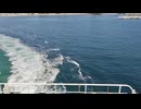 アメリカの駆逐艦〔クレムソン級駆逐艦〕の駆逐艦ハットフィールド、駆逐艦ブルックス、駆逐艦ギルマーの第二次世界大戦時の乗組員の気分になれるアメリカ海軍WW2当時の大太平洋戦争カラー映像