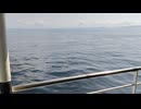 アメリカの駆逐艦〔クレムソン級駆逐艦〕の駆逐艦マッカラ、駆逐艦ロジャース、駆逐艦イングラムの第二次世界大戦時の乗組員の気分になれるアメリカ海軍WW2当時の大太平洋戦争カラー映像