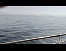 アメリカの駆逐艦〔クレムソン級駆逐艦〕の駆逐艦ターナー、駆逐艦ギリス、駆逐艦ローブの第二次世界大戦時の乗組員の気分になれるアメリカ海軍WW2当時の大太平洋戦争カラー映像