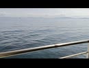 アメリカの駆逐艦〔クレムソン級駆逐艦〕の駆逐艦ウィリアム・B・プレストン、駆逐艦シカード、駆逐艦プルーイットの第二次世界大戦時の乗組員の気分になれるアメリカ海軍WW2当時の大太平洋戦争カラー映像