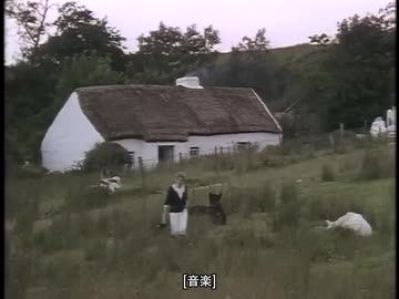 ホモと学ぶ北アイルランドの古民家一人暮らし