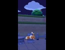 【ぽこポケ】イーブイからのカメックス！