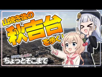 【登山】ちょっと山焼き後の「秋吉台」を歩こう！【山口】