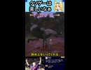 ニート「クソゲーの心温まる瞬間」