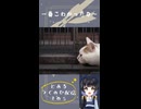 配信ver10✨テーマ：一番こわかったな～ #shorts  #つぐのひ