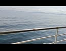 アメリカの駆逐艦〔ファラガット級駆逐艦〕の駆逐艦ファラガット、駆逐艦デューイ、駆逐艦ハルの第二次世界大戦時の乗組員の気分になれるアメリカ海軍WW2当時の大太平洋戦争カラー映像