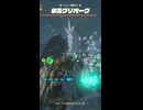 【ティアキン】ビロン雪原の氷雪グリオーク　ゼルダの伝説ティアーズオブザキングダムNintendo Switch 2 Edition