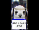 【黒い砂漠】［ドタバタ］孤独なサザエ剣士遁甲書