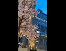 札幌駅南口側の大丸入口で見た春の光景 - 2026年4月24日 (Short video)