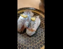 #YMDD_568　はま寿司：真あじ　にぎり