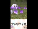 ゆかつむネットミーム解説【エッホエッホ】