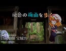 【雨が主役の季節】梅雨の日向薬師を歩く【ゆっくり旅動画】