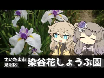 【VOICEVOX旅行】春日部つむぎの埼玉巡り ～さいたま市 見沼区 染谷花しょうぶ園～