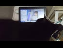 ジーッ動画3