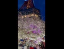 夜桜のライトアップ！さっぽろテレビ塔の下で - 2026年4月24日 (Short video)
