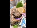 フィーちゃんのながーい休日ふぃ【毎月21日はフィーちゃんの日】