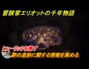 冒険家エリオットの千年物語　扉の遺跡に関する情報を集める　ヒューリックを捜す　ストーリー攻略　＃４１