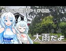 2026年6月20日　日記1762　雨が降ったのでやれることが木工細工ぐらいしかない