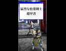 【黒い砂漠】［ドタバタ］猛烈な松葉剣士遁甲書