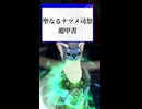 【黒い砂漠】［ドタバタ］聖なるナツメ司祭遁甲書
