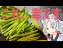生鮮の金針菜炒めをボロボロ日本語で作る【VOICEROID 東北イタコ】