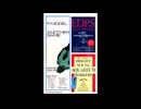 P-MODEL different≠another～LOOPING OPPOSITION