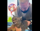 ホモと見るネコになったマチカネタンホイザ