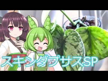 【観葉植物】もんきりも観葉植物を育てたい#5 スキンダプサスをハイドロボールに植えてみた【ソフトウェアトーク劇場】