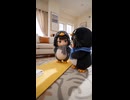 タクヤさんvs女