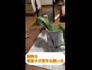 好き嫌いはダメだよ！
