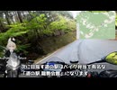 【Tesi3D】#018 道の駅巡りツーリング【VVlog】