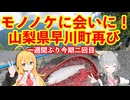 モノノケに再び会いに！山梨県早川水系の渓流釣りと激うまレストラン【 #弦巻マキ #小春六花 実況】 #フライフィッシング