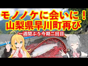 モノノケに再び会いに！山梨県早川水系の渓流釣りと激うまレストラン【 #弦巻マキ #小春六花 実況】 #フライフィッシング