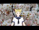 【ステネコ】が『千本桜』を歌ってみた
