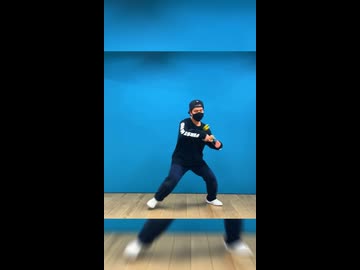 【けん玉】アニマル 踊ってみた