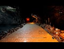 【初見実況】　ShadowCorridor2 ⾬ノ四葩　その３０