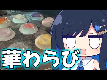 「お花の入ったわらびもち！？」【双葉湊音】
