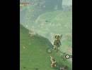 【 BotW 】 空を飛んでごらん( I wish you could fly too )【 ドリカラ 】ショート動画