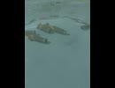 【 BotW 】不正はなかった。 ( There was no fraud )【 ドリカラ 】ショート動画