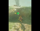【 BotW 】スイーッ ( Making fun of Bokoblin )【 ドリカラ 】ショート動画