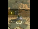 【 BotW 】これは拾ったルピーで不正ではない ( Rupee picked up )【 ドリカラ 】ショート動画
