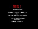 SOUL'dOUTアンチパイラシースクリーン