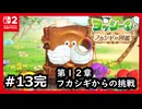 #13完【ヨッシーとフカシギの図鑑】フカシギからの挑戦！フカシギの図鑑のことも知れる