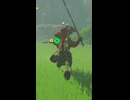 【ティアキン】イルメナ池のライネル　ゼルダの伝説ティアーズオブ ザキングダムNintendo Switch 2 Edition