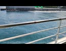 アメリカの駆逐艦〔フレッチャー級駆逐艦〕の駆逐艦ハドソン、駆逐艦フラム、駆逐艦ベネットの第二次世界大戦時の乗組員の気分になれるアメリカ海軍WW2当時の大太平洋戦争カラー映像